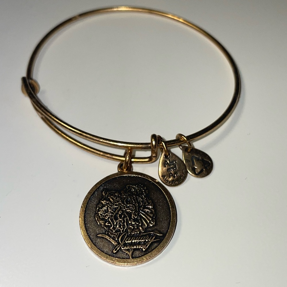 Alex and Ani bracelet